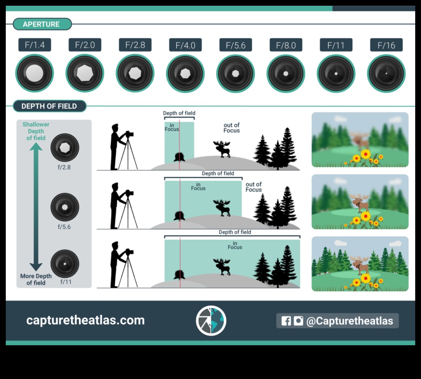 Aperture Alchemy: Uzman Fotoğrafçılık Eğitimi ile Perspektiflerde Ustalaşma