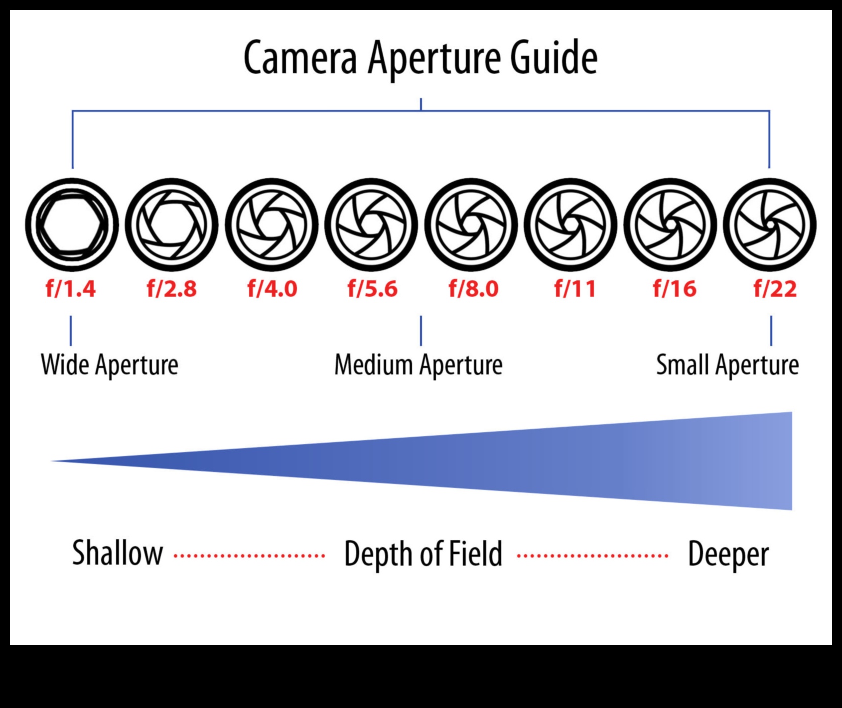 Aperture Alchemy: Uzman Fotoğrafçılık Eğitimi ile Perspektiflerde Ustalaşma