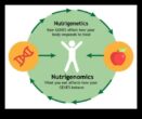 DNA’nız, kaderiniz nutrigenomicshow genleriniz yediğiniz yiyecekleri ve bu yiyeceklerin sağlığınızı nasıl etkilediğini etkisinde bırakır.